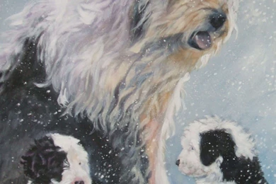 Drawn Old English Sheepdog With Her Puppies Photo And Wallpapers ...