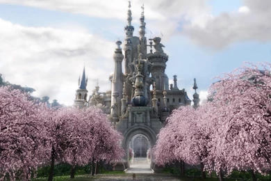 11652) Cherry Blossom Tree Free Wallpapers   WalOps.com