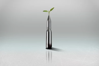 Plant On Bullet