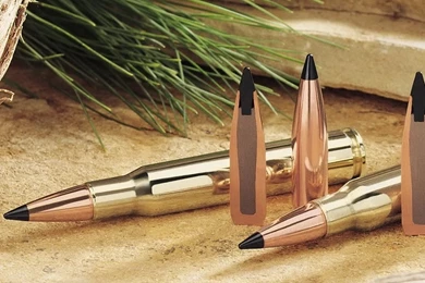 Bullet Wallpaper Backgrounds