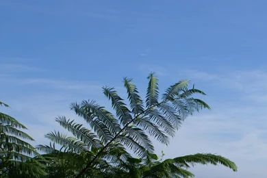 Sky, Wallpaper, Widescreen, Monitor, Philippines (