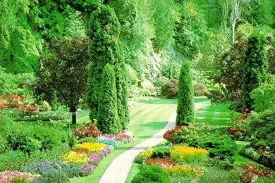 Nature Wallpapers High Resolution Green Best HD Desktop Wallpapers ...