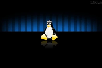 Wallpapers Linux Tux Crazy Frankenstein 1680x1050