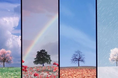 Free Seasons Wallpapers And Backgrounds ~ Toptenpack.com