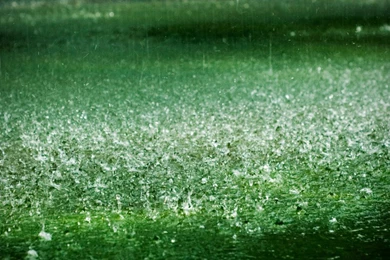 Wallpapers Rainy Season Wallpapers Download