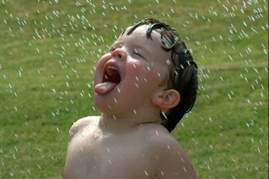 Latest Rainy Season HD Free Wallpapers