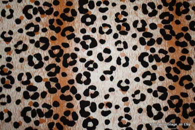 Leopard Prints Wallpapers   Wallpapers Zone