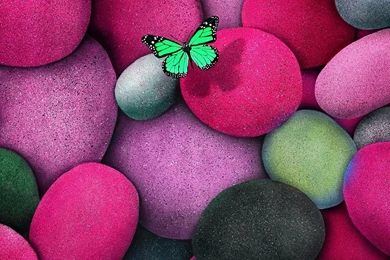 HD Wallpapers Zedge   Wallpapers Zone