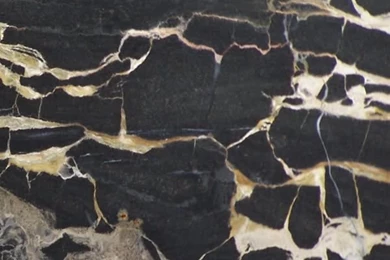 Austral Gold Black Marble From Australia