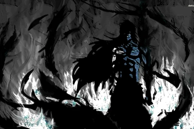Getsuga Tensho Bleach 29 Free Wallpapers   HD Wallpapers