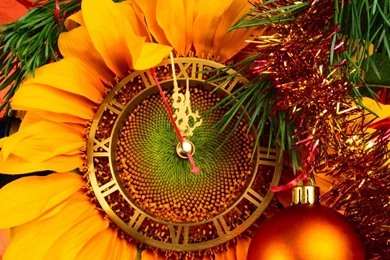 Desktopnexus.com, Wallpaper, Desktopnexus.com Hd Wallpapers ...