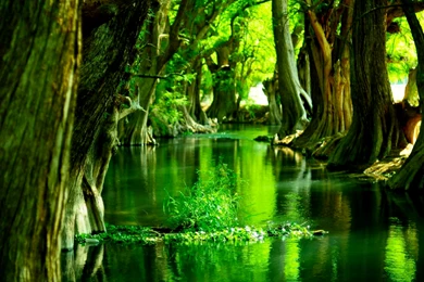 Desktop Nexus Wallpapers   Wallpapers HD Base