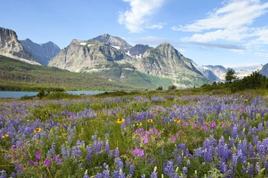 Glacier National Park Wallpapers