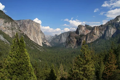 Sequoia National Park Wallpapers In HD Quality   HD Wallpapers Inx