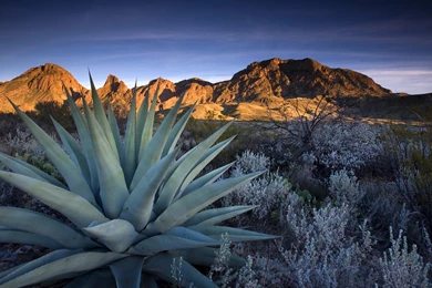 High Resolution Wallpapers Cool Backgrounds   Fullwidehd.com