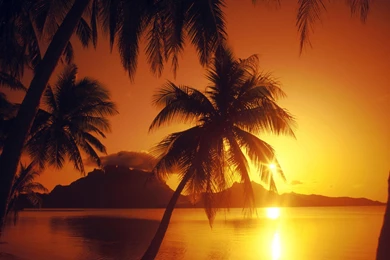 Orange Sunset Wallpapers » WallDevil   Best Free HD Desktop And ...