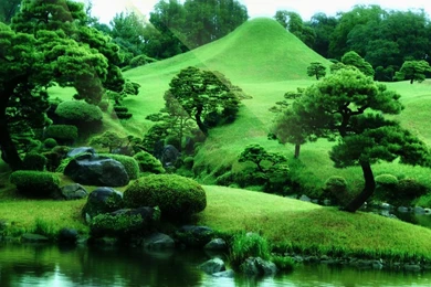 Zen Garden Live Wallpapers   Android Apps On Google Play