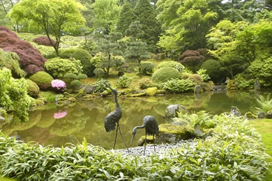 Zen Garden Wallpapers HD (7)
