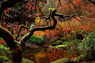 Gardens Wallpaper: Best Zen Garden Wallpapers On Garden Decor, Top ...