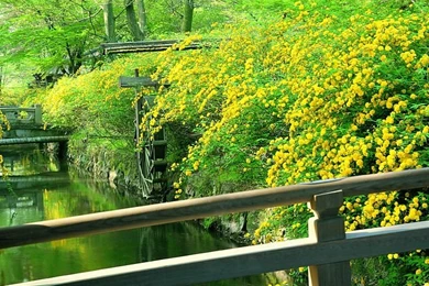 Japanese Garden In Kyoto, Zen Garden Of Kyoto 16   Wallcoo.net