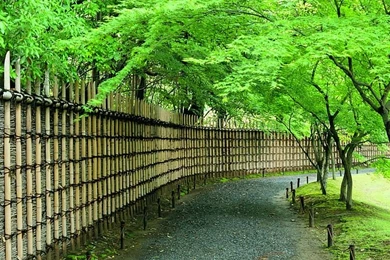 Japanese Garden In Kyoto, Zen Garden Of Kyoto 3   Wallcoo.net