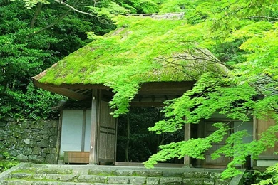 Japanese Garden In Kyoto, Zen Garden Of Kyoto 5   Wallcoo.net