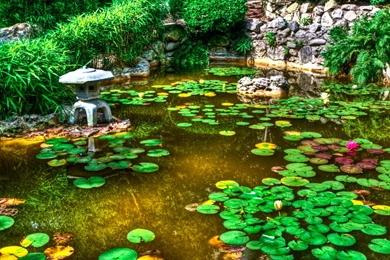 Zen Garden Wallpapers HD (48)