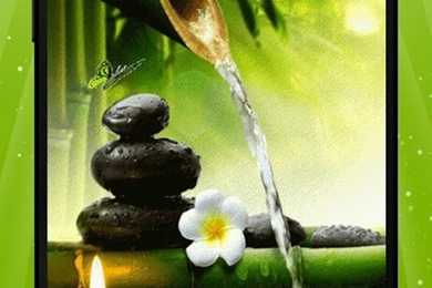 Zen Garden Live Wallpapers   Android Apps On Google Play