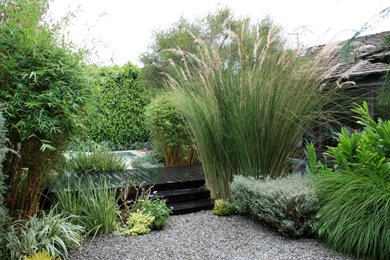 Zen Garden Wallpapers HD (25)