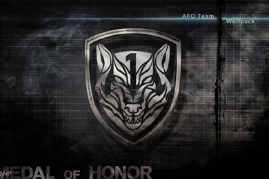 Medal Of Honor Wolfpack Widescreen Wallpapers