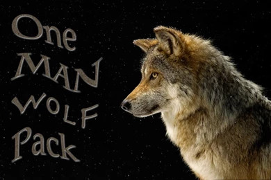 DeviantArt: More Like One Man Wolf Pack Wallpapers By Brendan531