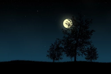 High Quality Hd Wallpapers   Widescreen HD Wallpapers