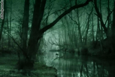 Swamp Backgrounds Twitter & Myspace Backgrounds