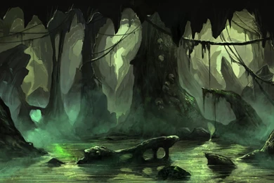 Swamp