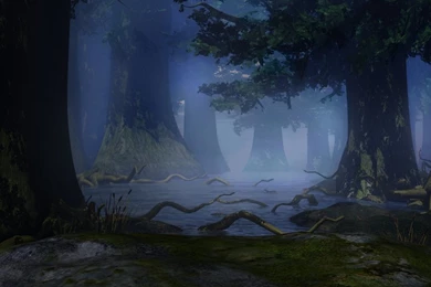 Swamp Backgrounds By Indigodeep On DeviantArt