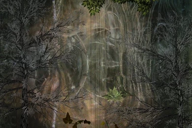 Forest Swamp Backgrounds By Mysticmorning On DeviantArt