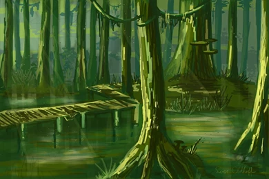 Backgrounds Challenge Day 4   Isolated Swamp By Drosera sundews On ...