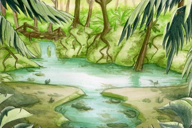 The Swamp By MagnaStorm On DeviantArt