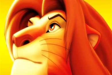 Top King Lion Wallpapers Pictures Wallpapers