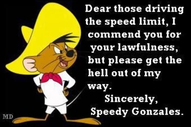 SPEEDY GONZALEZ On Pinterest