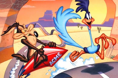 Road Runner Wallpapers : Wallpapers 1