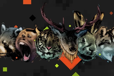 Abstract Animal HD Wallpapers