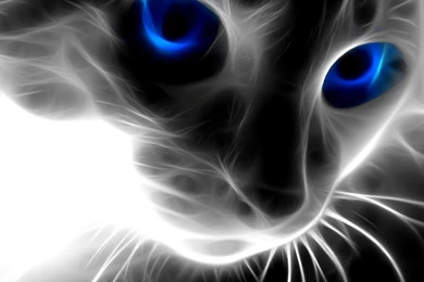 Download Free 100 3D Abstract Wallpapers In Hd