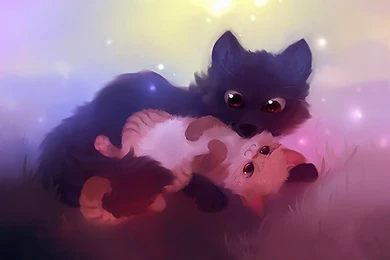 Cats: Cats Animal Cat Kitten Abstract Pet Werecat HD Wallpapers ...