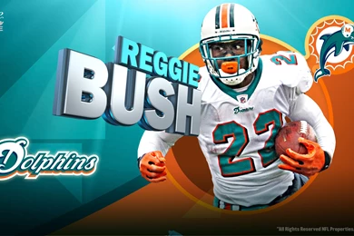 Miami Dolphins Logo Desktop Backgrounds HD 1920x1080