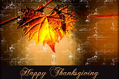Happy Thanksgiving Pictures   Widescreen HD Wallpapers