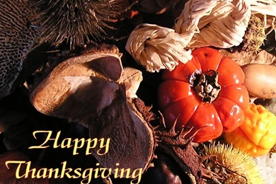 Free Wallpaper: Thanksgiving Wallpapers   Happy Thanksgiving