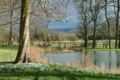 Free Desktop Wallpapers Spring Scenes Wallpapers Cave