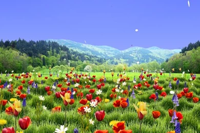 Spring Scene Free   Android Apps On Google Play