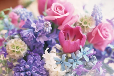 Spring Flowers Picture, Colorful Flowers Bouquet, Fresh And Clean ...